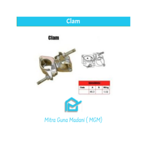 clam