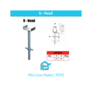 u head